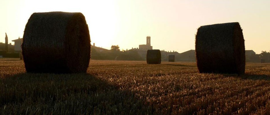 BENVINGUTS A PARLAVÀ